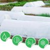 Pătură de protecție a plantelor, albă 1x15m 90g