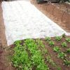 Pătură de protecție a plantelor, albă 1x15m 90g