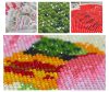 Set broderie cu diamante creative 5D 20*30cm