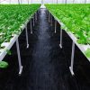 Geotextília, agrotextilná rohož proti burine, 70G 1,6x100 m