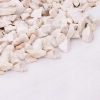 Geotextil, agrotextil gyommentesítő agrotextil, 80g/m2 1,6x100m, fehér