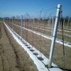 Geotextil, agrotextil gyommentesítő agrotextil, 80g/m2 1,6x100m, fehér