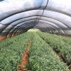 Tieniaca sieť, čierna, 95% 180g/m2 1,5x25 m s UV filtrom