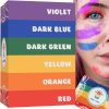 Pudră Holi colorată, 6x100 g, 6 culori