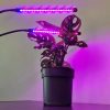 Gardlov pestovateľské svetlo s 20 LED svetlami, 3 režimy svietenia, vodeodolné