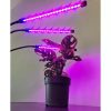 UV lampa na pestovanie rastlín, 20 LED, s diaľkovým ovládaním