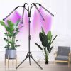 LED lampa na pestovanie rastlín 20 LED, 4 lampy