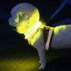 LED lampa nastaviteľné hoboje Purlov 21631
