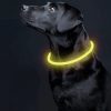 LED svetelný obojok pre psov, USB nabíjanie, nastaviteľná dĺžka
